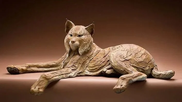 Missing Lynx