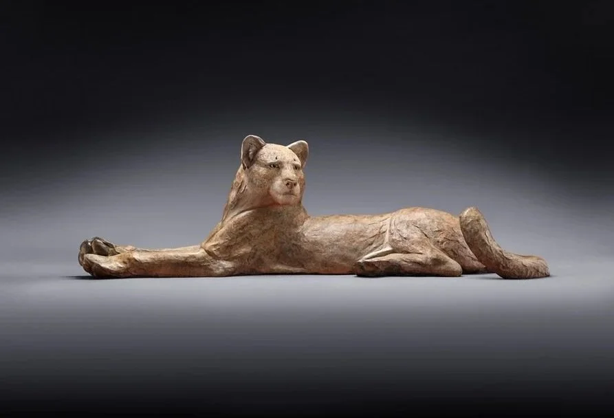 "Watch Cat"