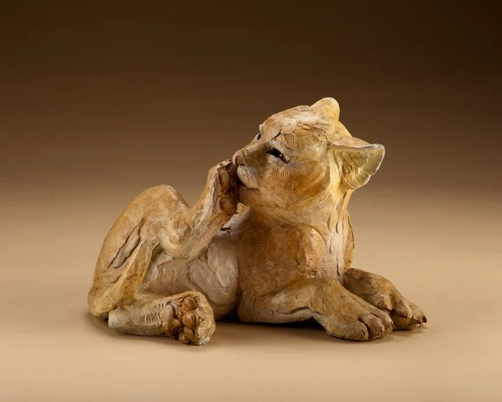 Cocklebur (2).jpg