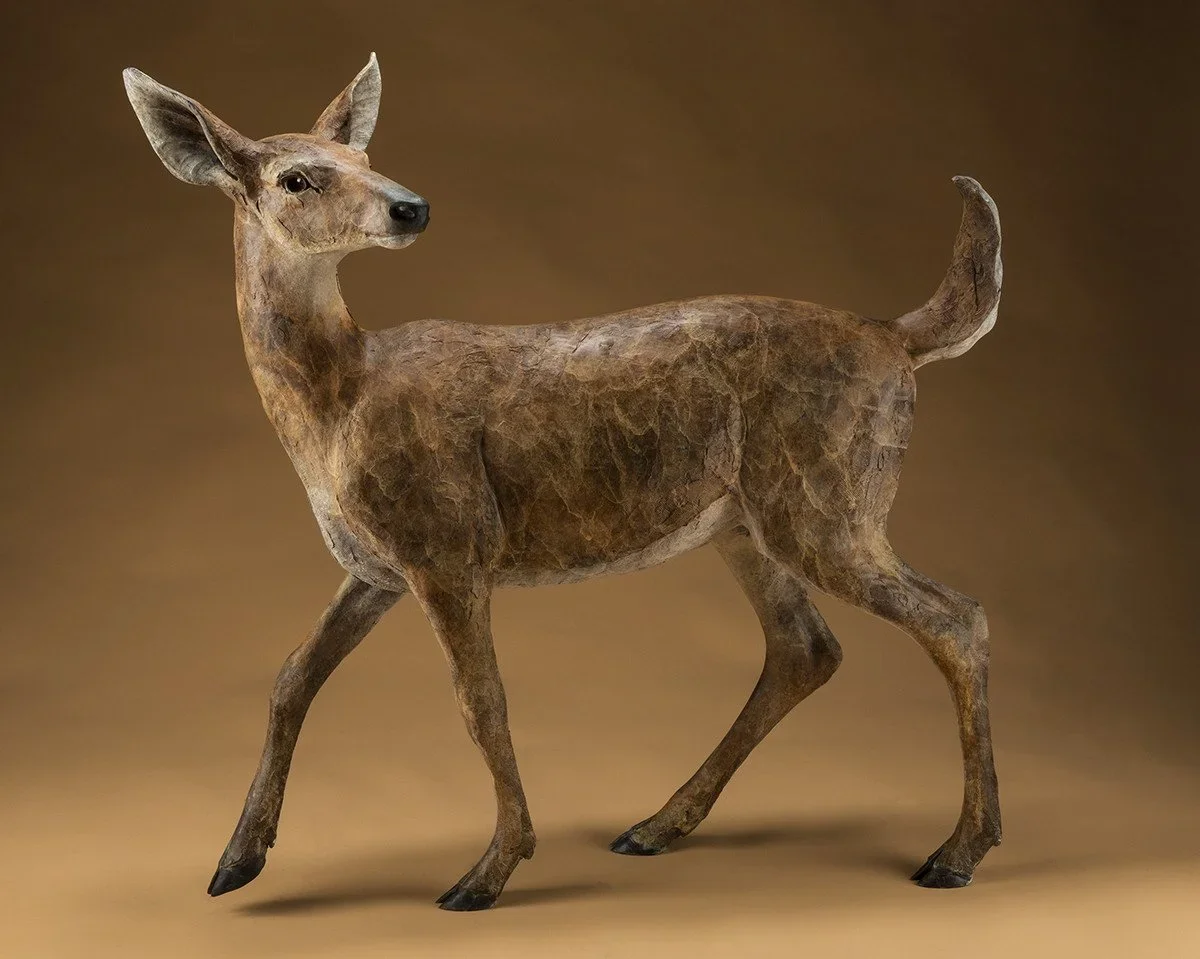Doe.webp