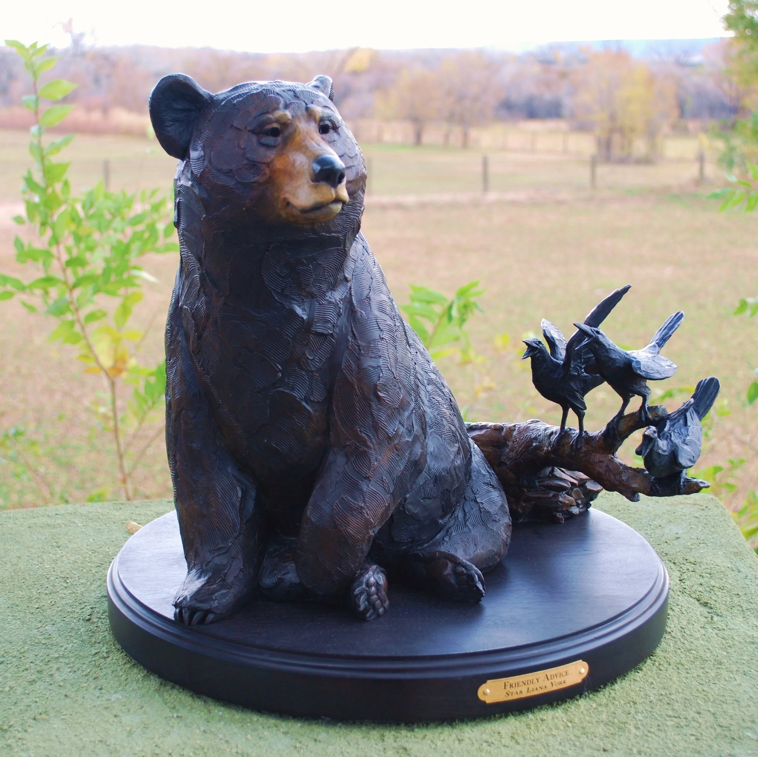 “Friendly Advice” - Raven Dialogue Series
“There is a wild animal refuge near the Grand Canyon in Arizona that I visited to study bears. I choose this venue since I knew the bears in their keeping lived in 14 acre paddocks where they could live and p