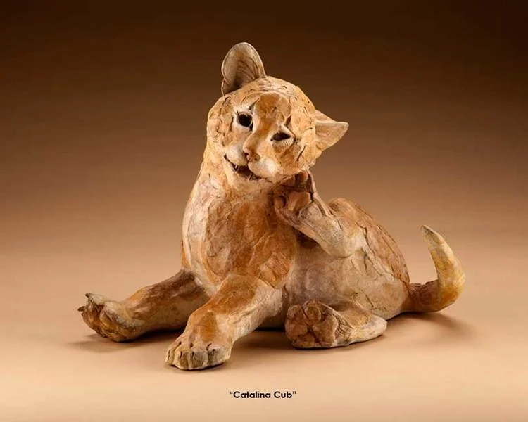 750_600_1572014173220722_catalina-cub.jpg