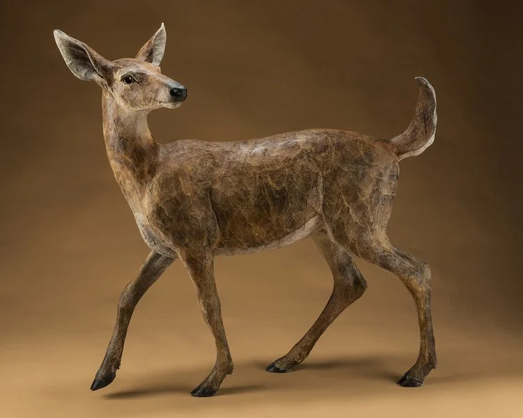 751_600_392015145147977_Doe_46.jpg