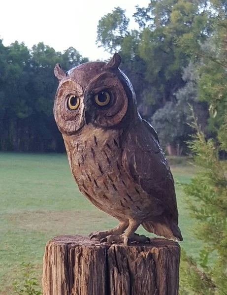 "Owlette"