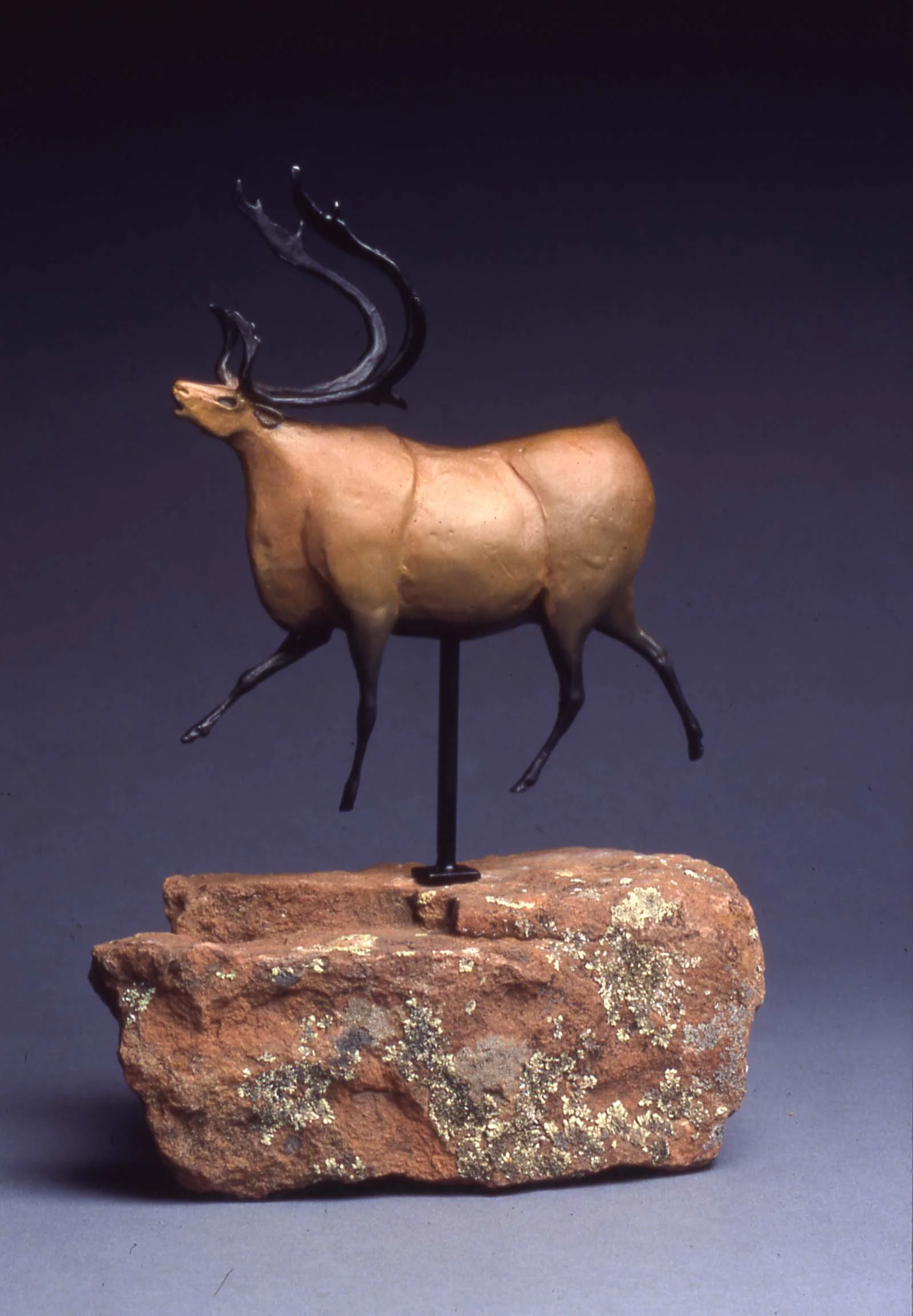 "Caribou Avignon"