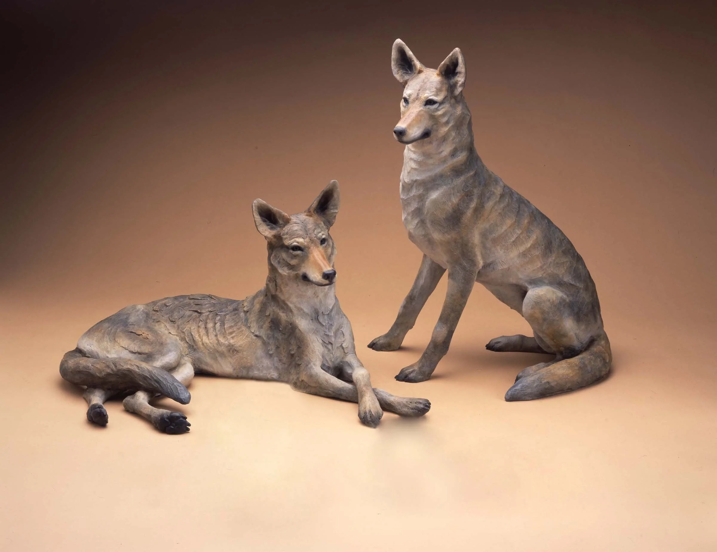"Coyote Couple"