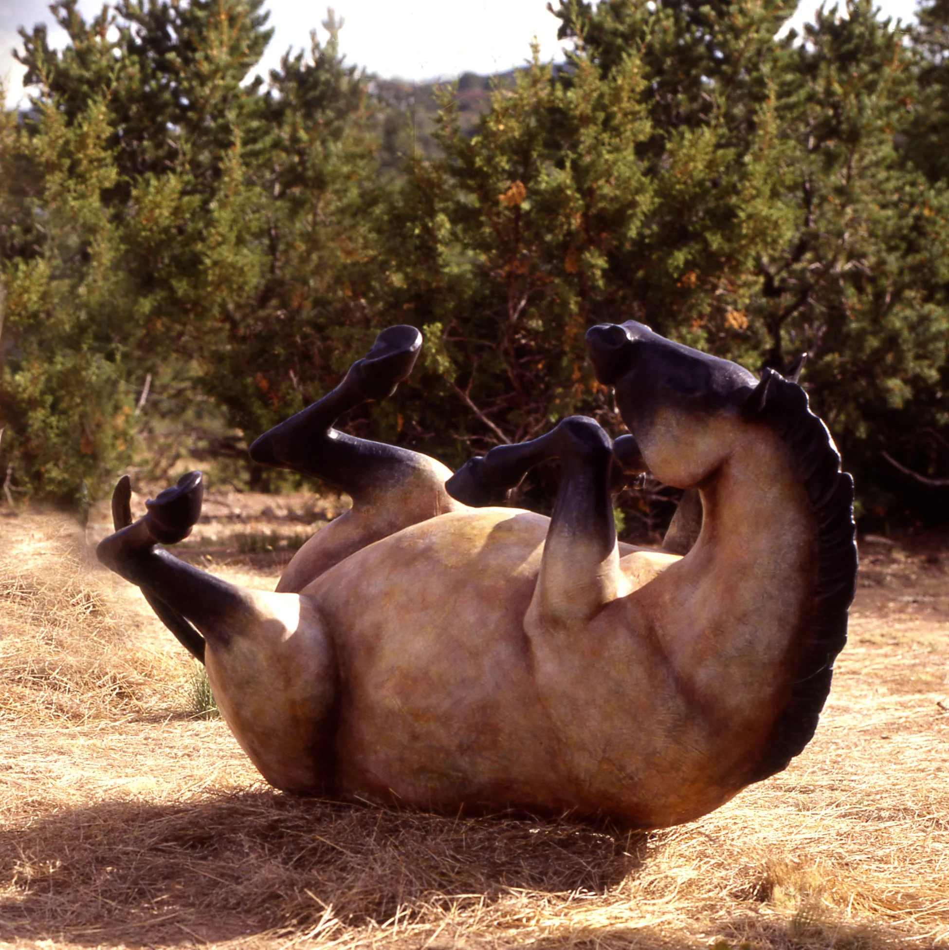 "Roll" Life Size