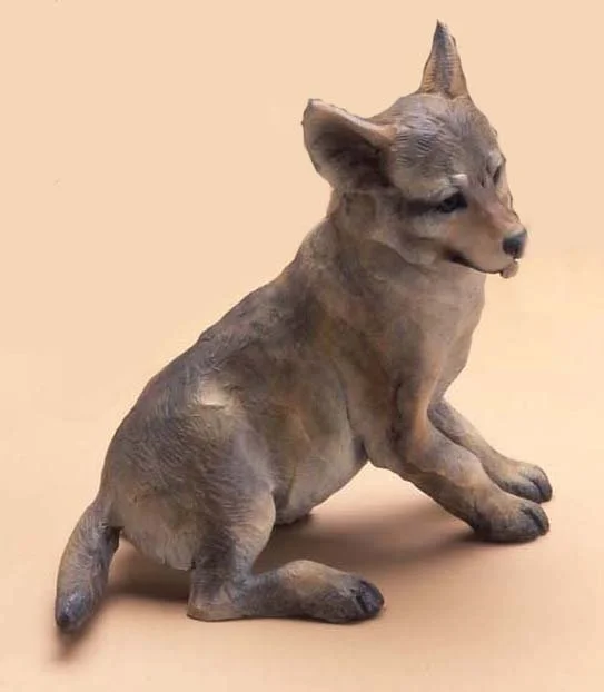 Coyote Pup-Playful