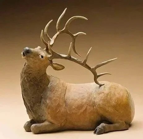 800_567_1572014183030876_elk-itch.jpg