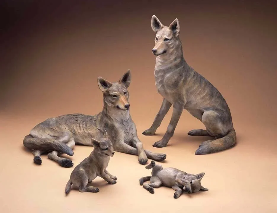 Coyote+Family.webp