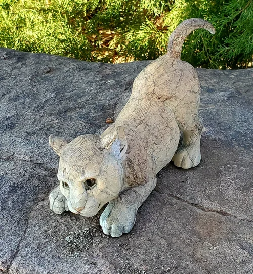 pounce+(1).webp