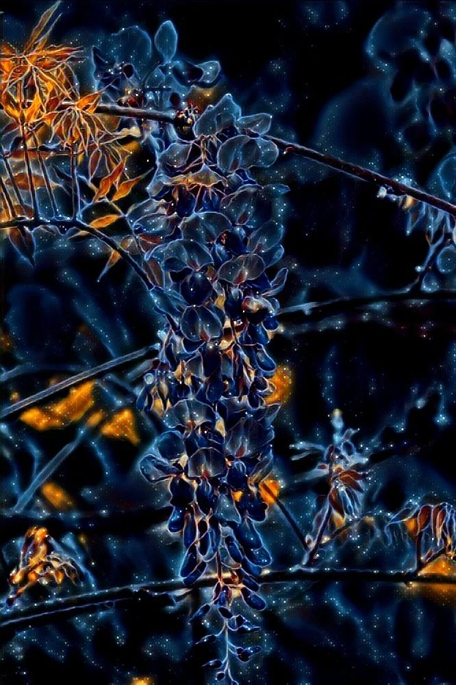 Celestrial Wisteria.jpg