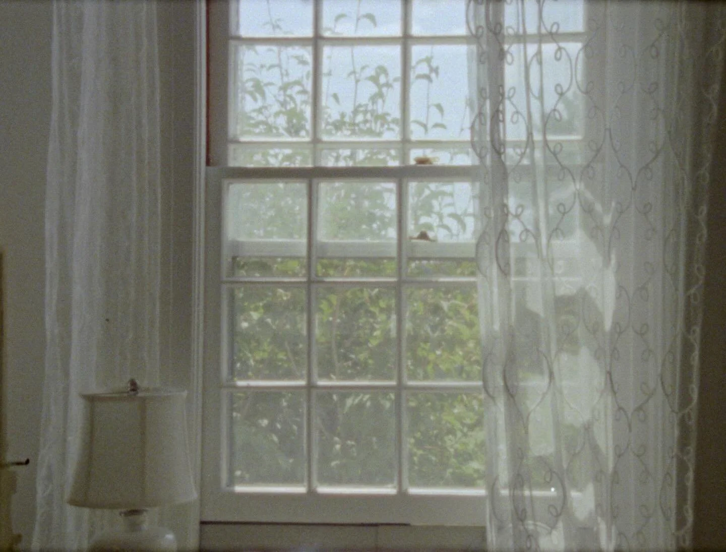 Soft morning light before a gentle wedding day. 

Can&rsquo;t wait to share the film I made of Alicyn and Nic&rsquo;s day in late August in Massachusetts. Edits are in full swing! Life is good! Super 8 nourishes my creative soul.