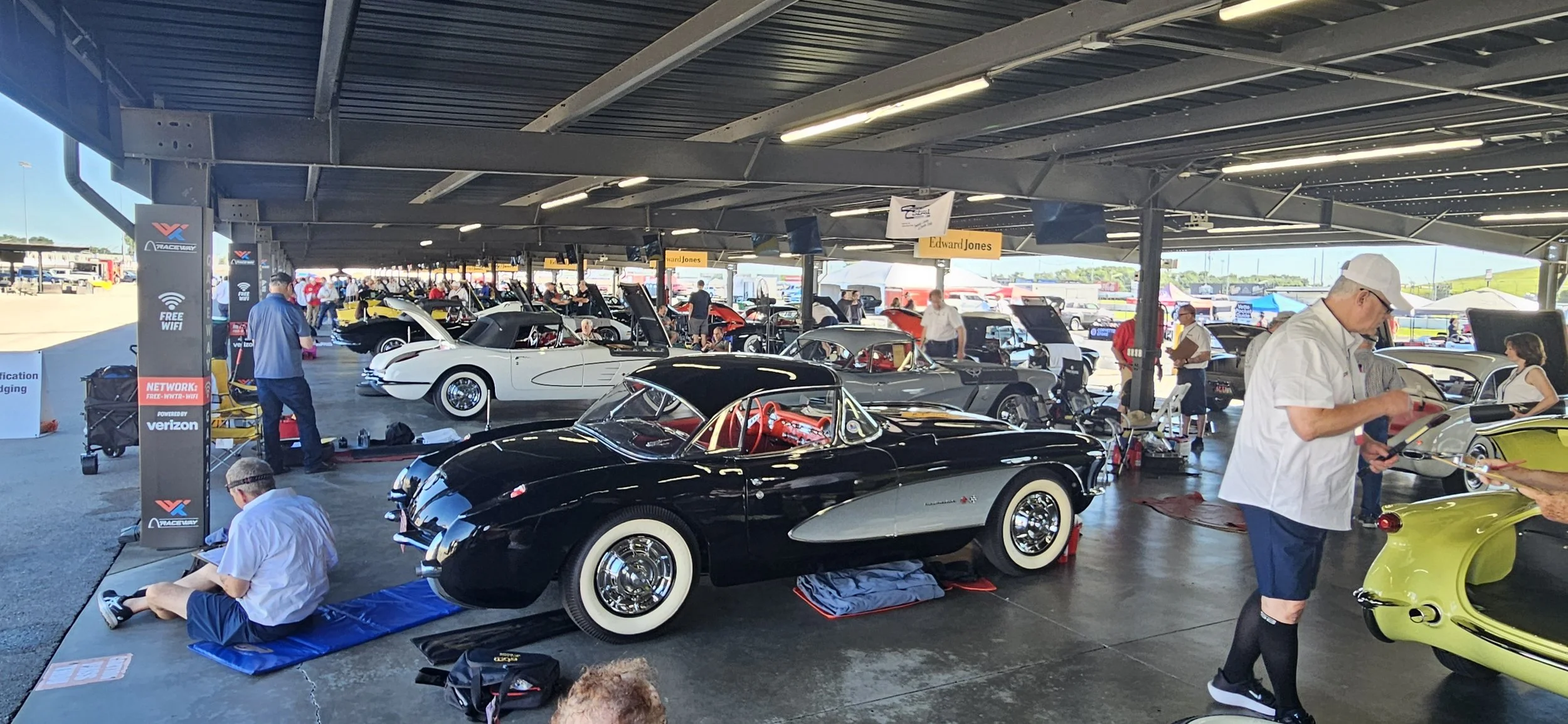 Rows of Corvettes being meticulously examined by judges.