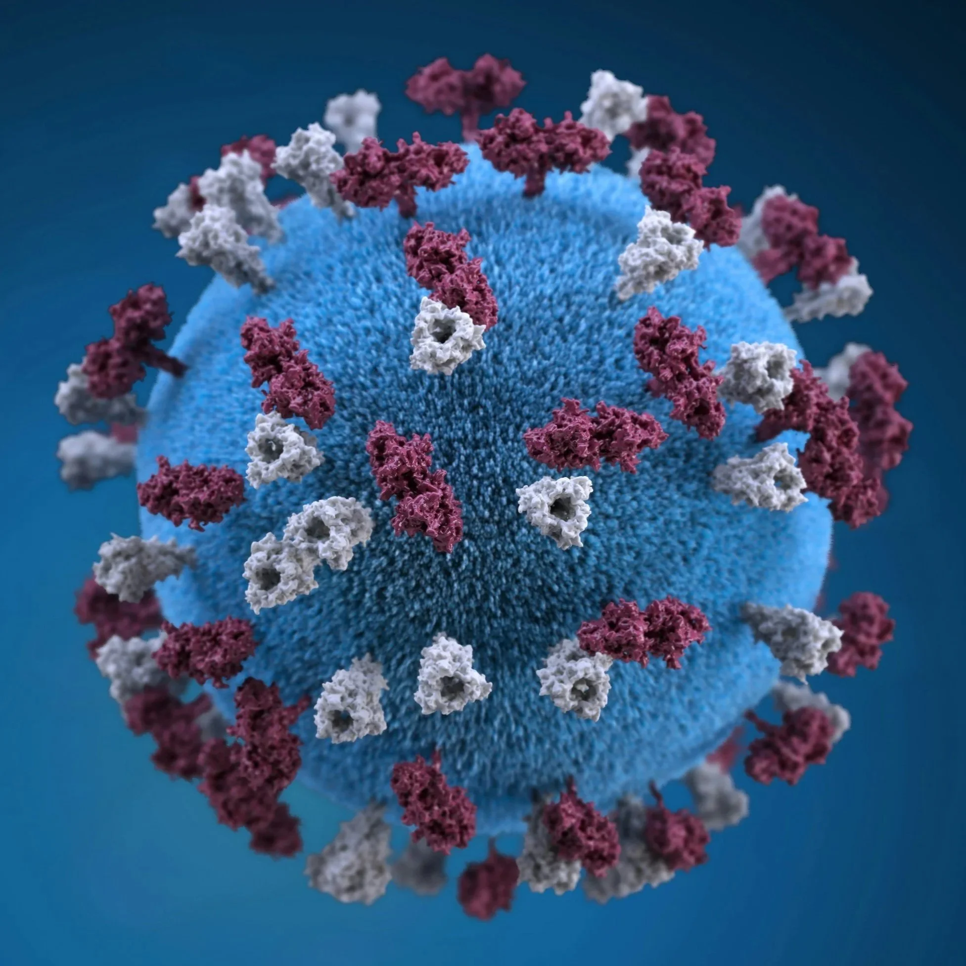 Colored digital illustration of a virus particle with a blue spherical core and proteins in white, pink, and purple protruding from its surface.