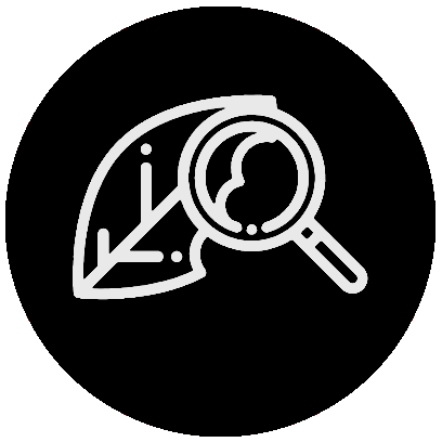 Line drawing of a lemon wedge with a magnifying glass over it.