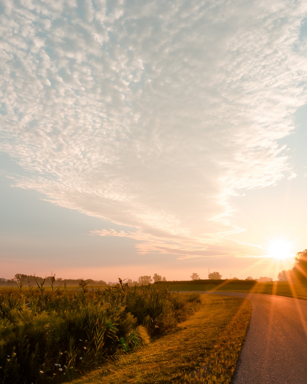 It’ll Be Really Hard for You to Overcome Agoraphobia, Anxiety, and Panic Disorder If…