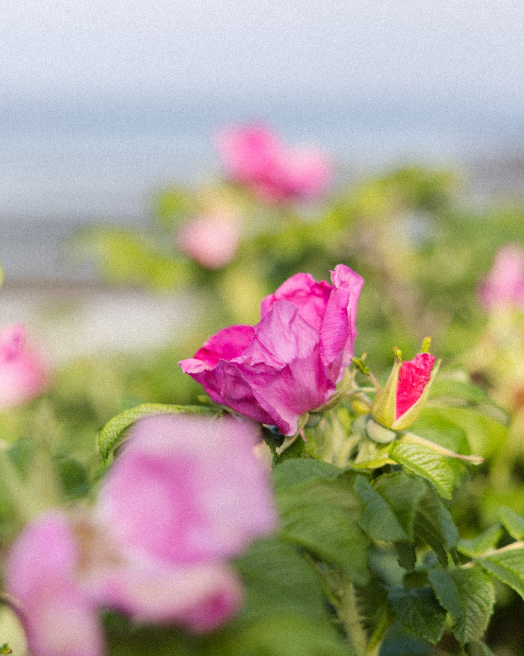 3 Big Lessons I've Learned in 2022 &amp; How They Can Help You