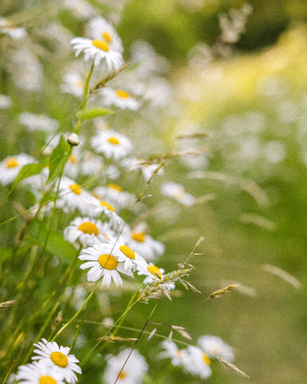 How I've Been Struggling Recently - And Let's Talk Perfectionism And Anxiety Recovery!