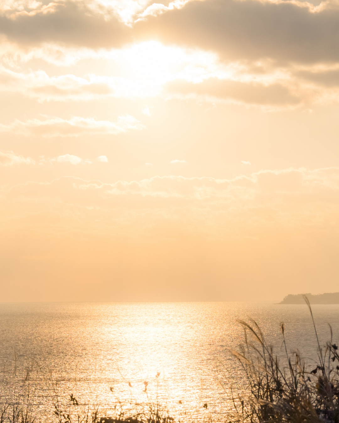 Anxiety Recovery: If You're Seeking More Peace and Less Anxiety, Listen to This