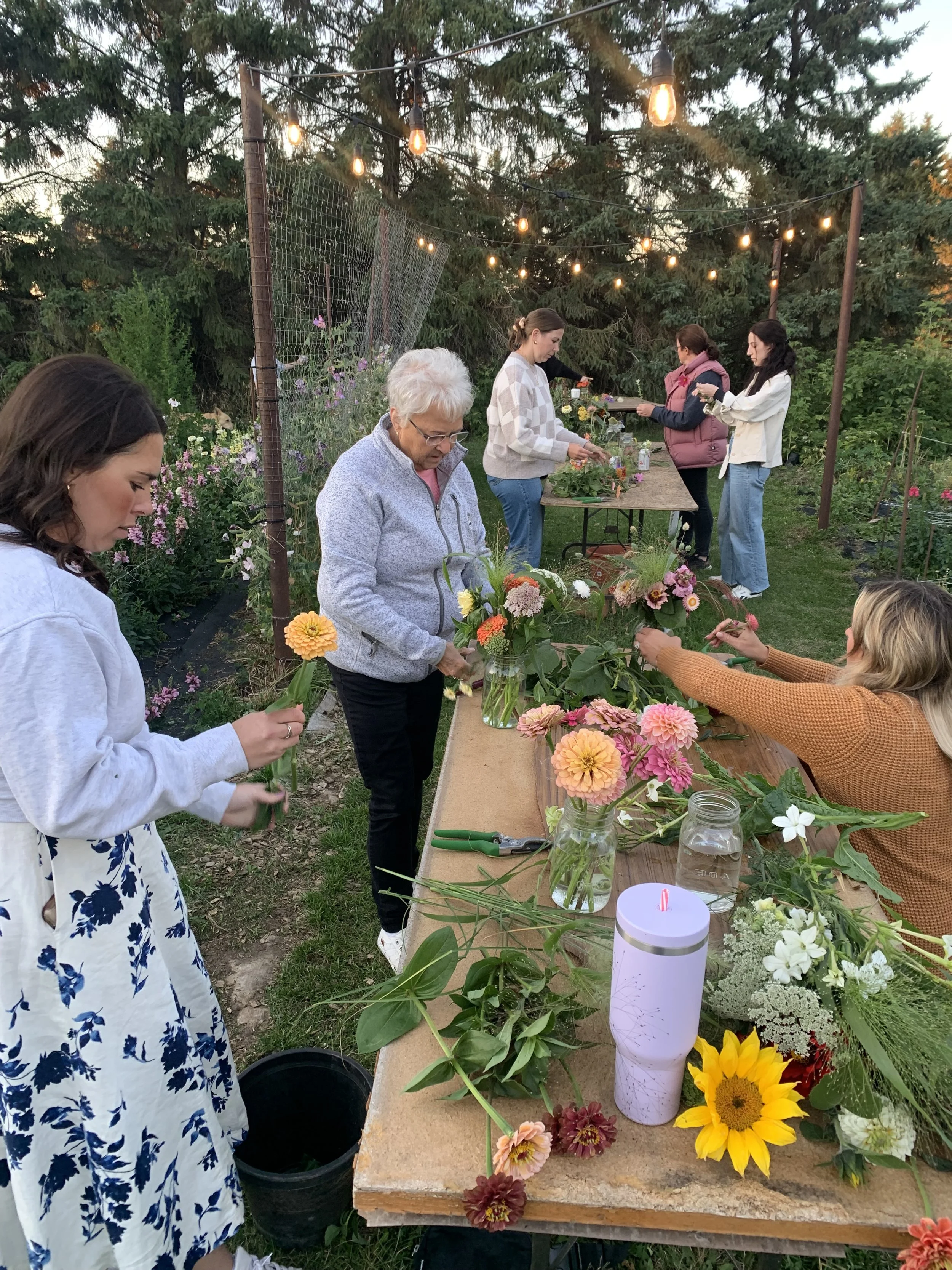 Flower Garden U-pick - Starting last week of July