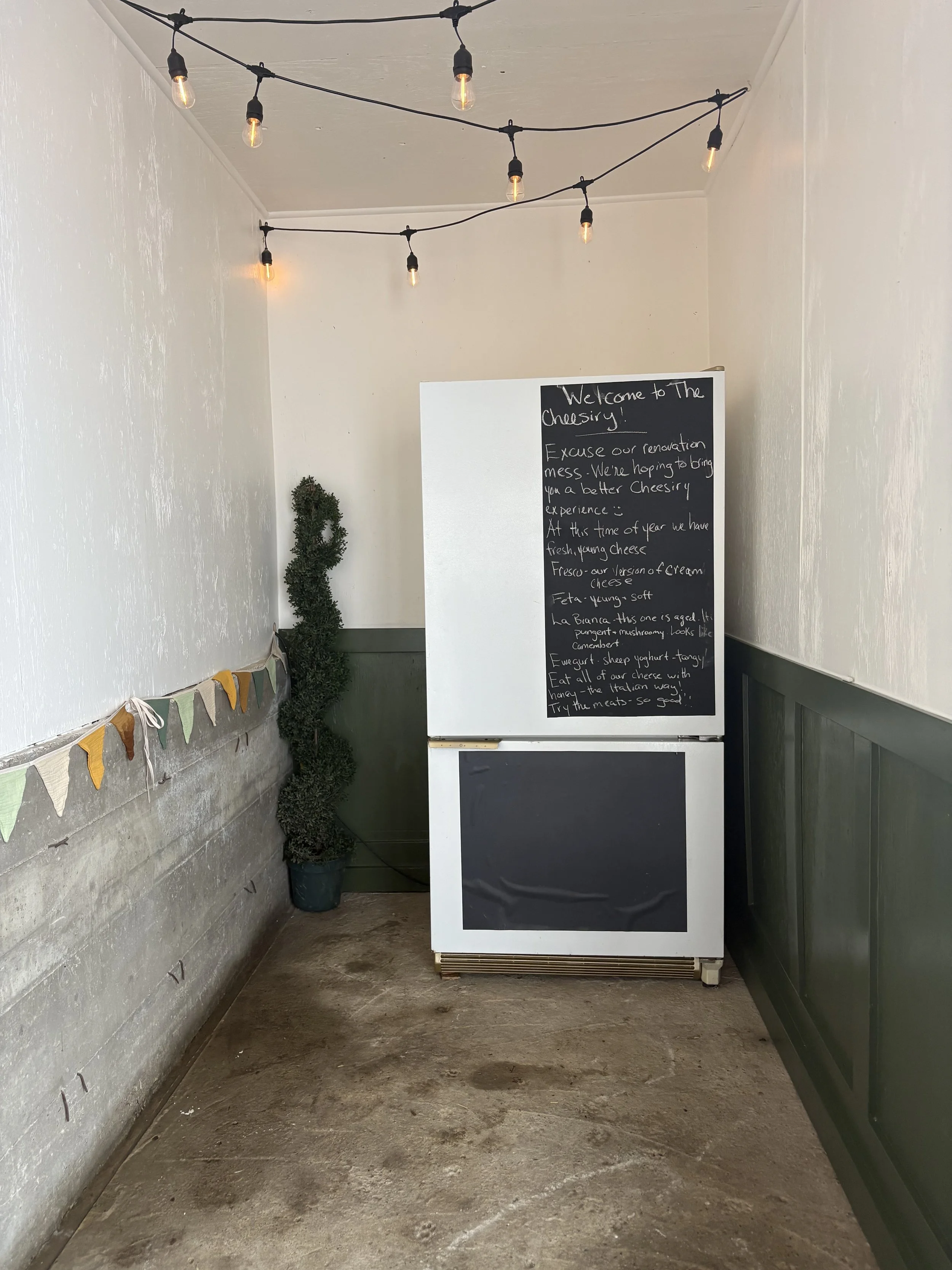Interior of a small cheesery with string lights hanging from the ceiling, a potted evergreen plant, a chalkboard sign with a message about the cheesery, and festive bunting along the wall.