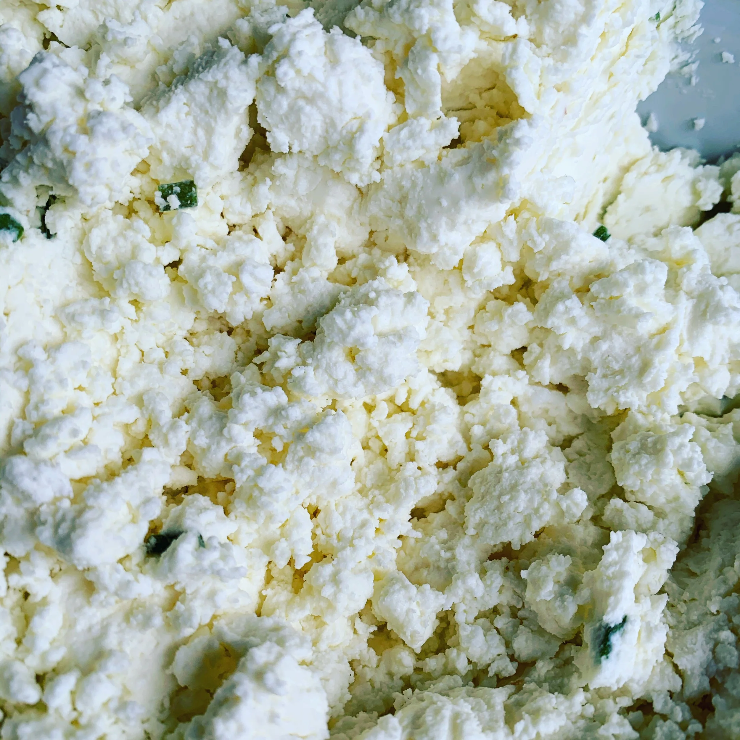 Garlic and Chive Fresco