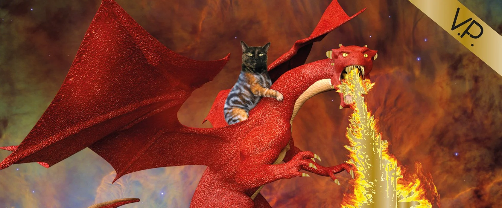 et-dragon-riding-caaaaaaat.jpg