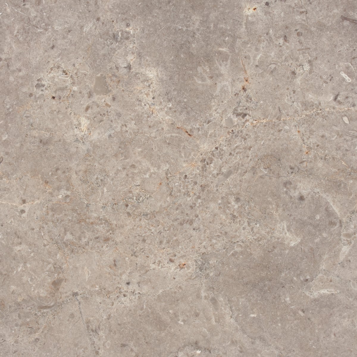 Maison Beiged Brushed