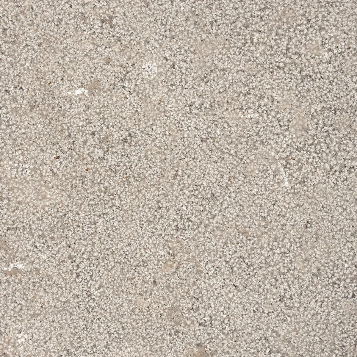 Grigio Selce Bush Hammer