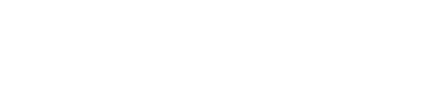 Terra Stone