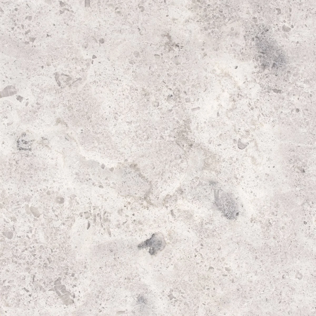 Platine Light Creme Brushed