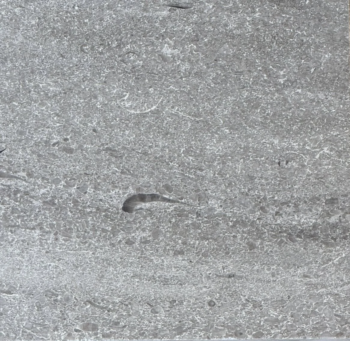 Aria Vein Cut Brushed