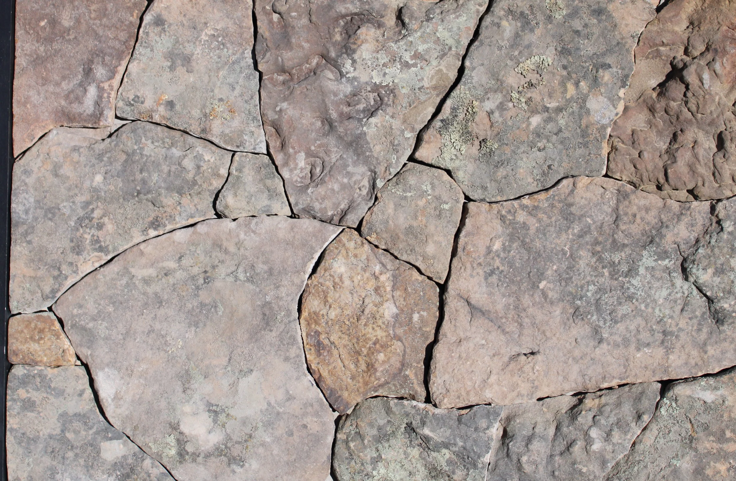 Montana Moss Mosaic