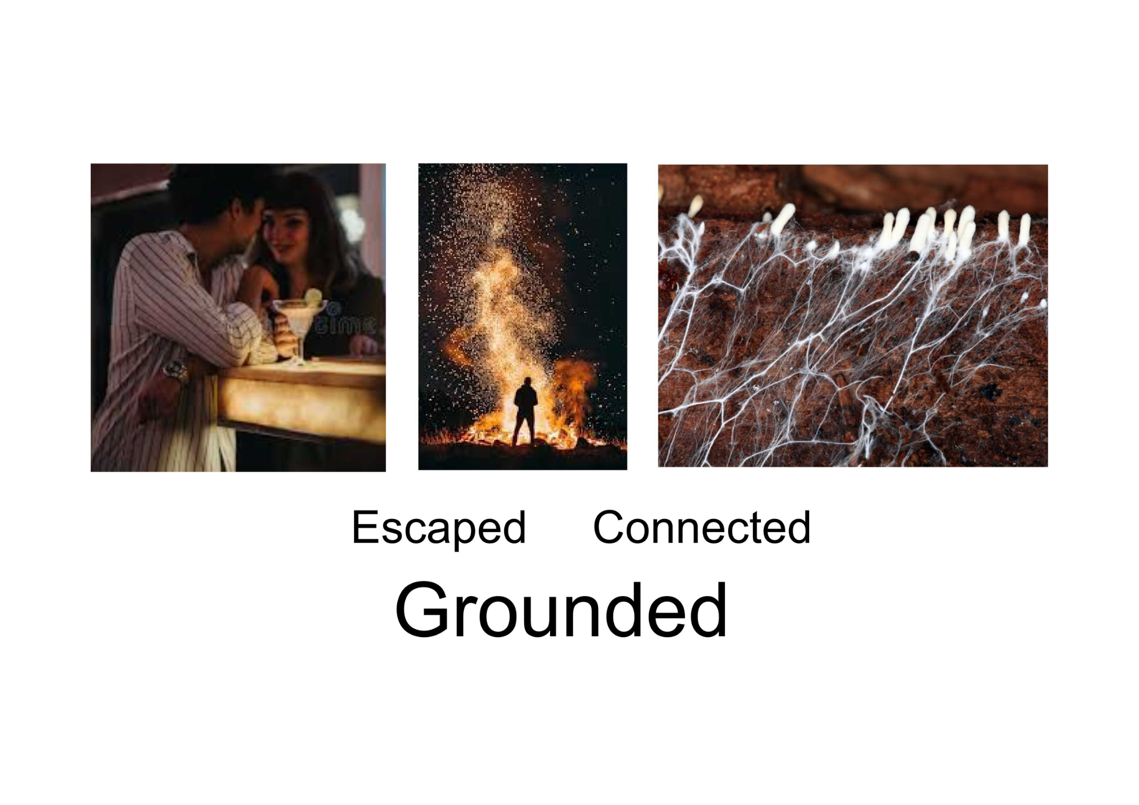 Project 4 - Page 1.png