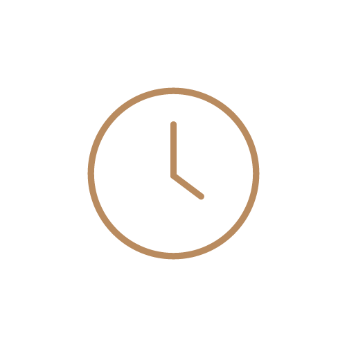 clock icon