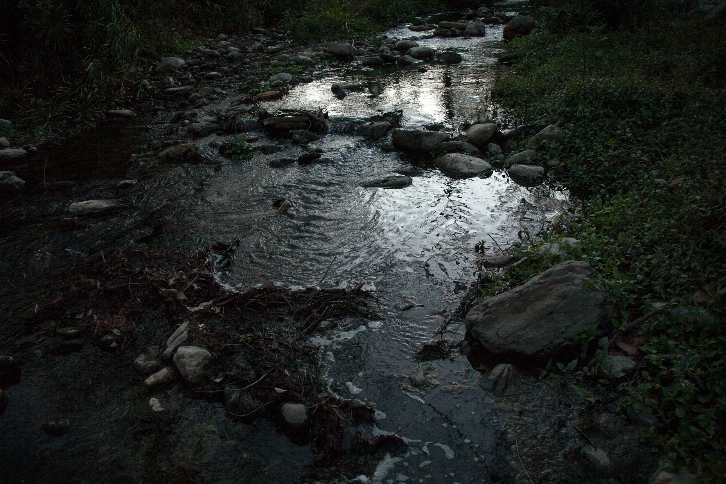 IMG_1143.jpg