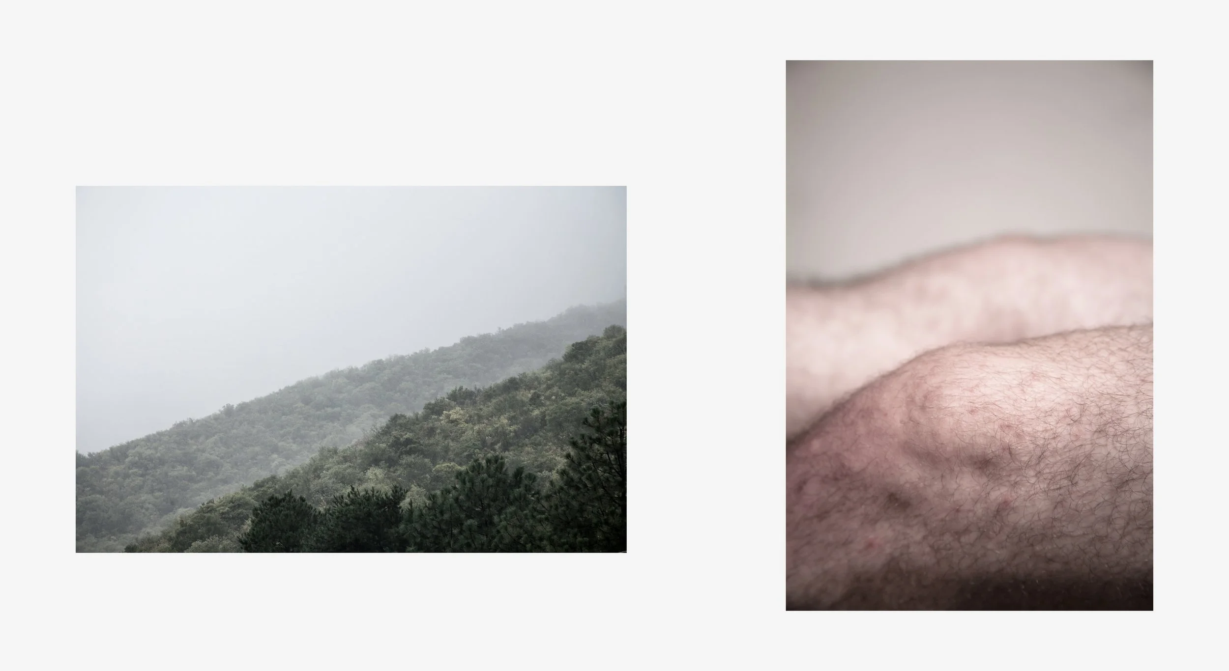 S1.jpg