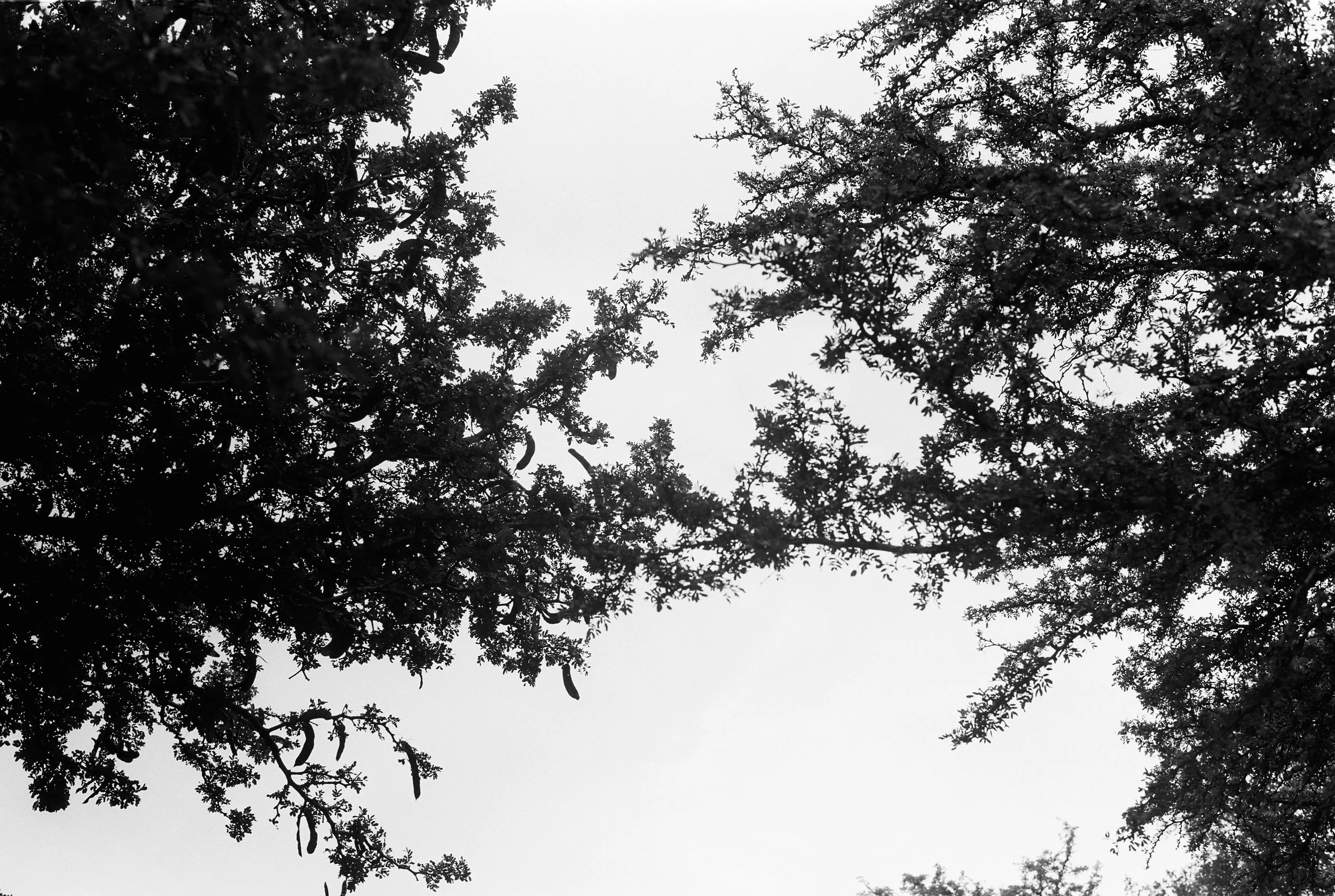 011936-R1-E006.jpg
