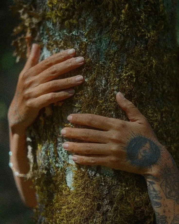 Trauma Informed Herbalism