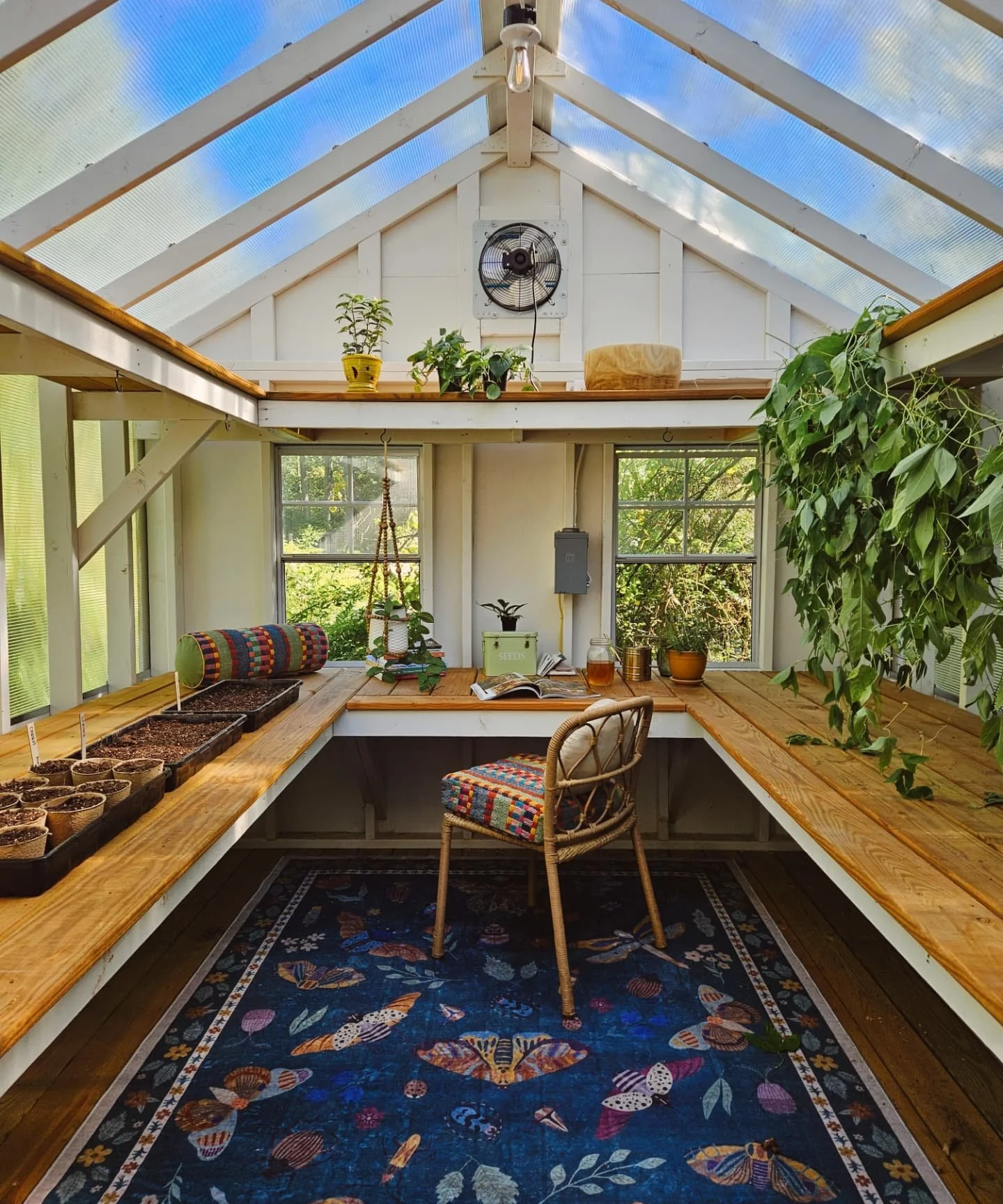 My little swamp witch cottage has brought me so much joy this year. From starting seeds to harvesting and drying greens, this  greenhouse has been a sweet sanctuary for me. 

Here, I can just be. No deadlines, no expectations, no need to plan or prod