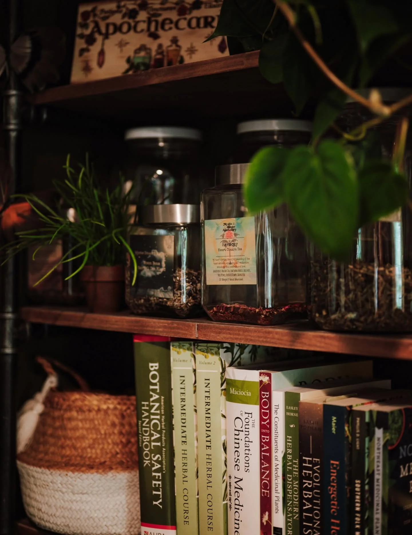 *Free Online Herbal Study Group!*&nbsp;

Build your own materia medica one herb at a time. Each Monday in 2026 I will post an herbal constituent, action, or category on Instagram at @kinroot.wellness. You will then find and research an herb of your c