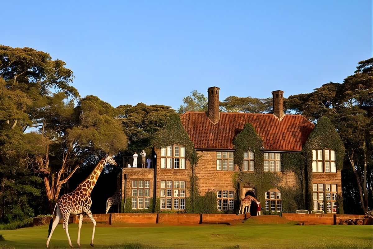 Why a Team Retreat in Kenya is the Ultimate Strategic Pivot