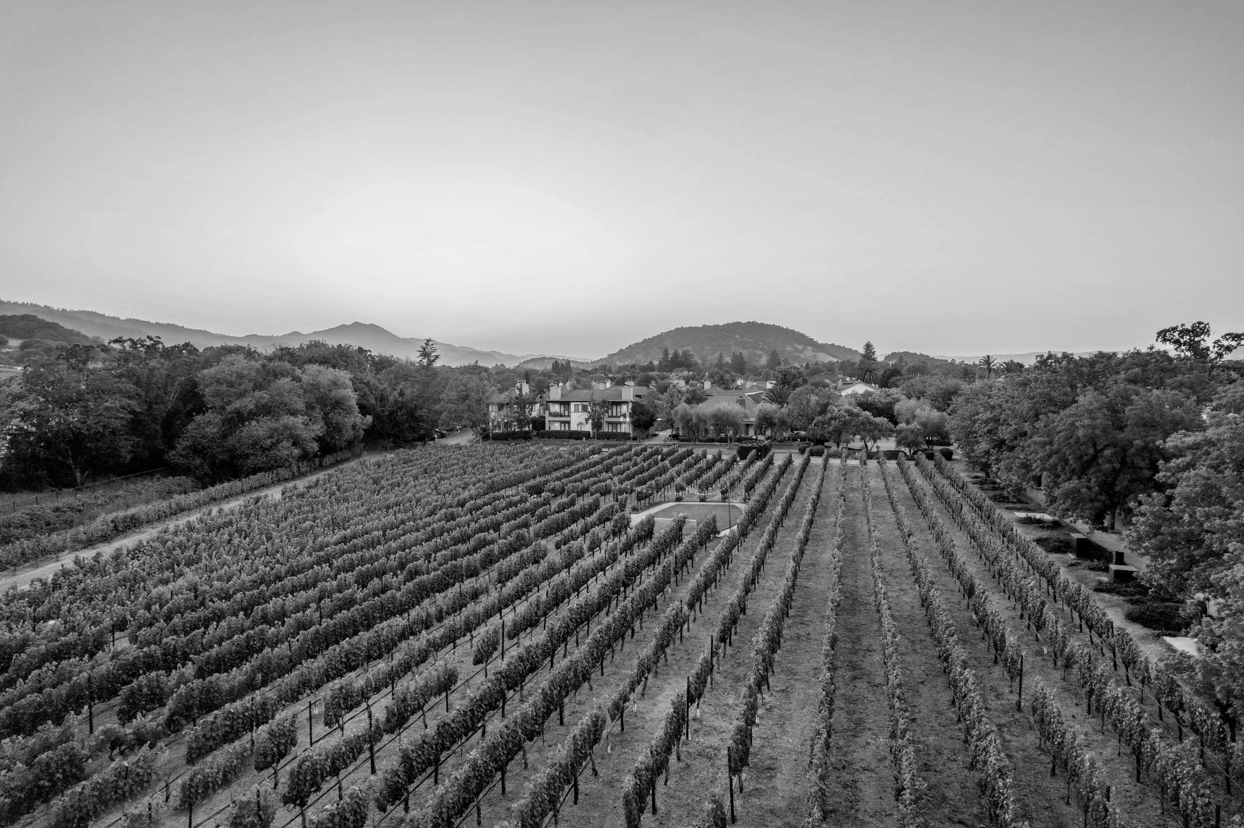 Estate Yountville Aerial B&W.jpg