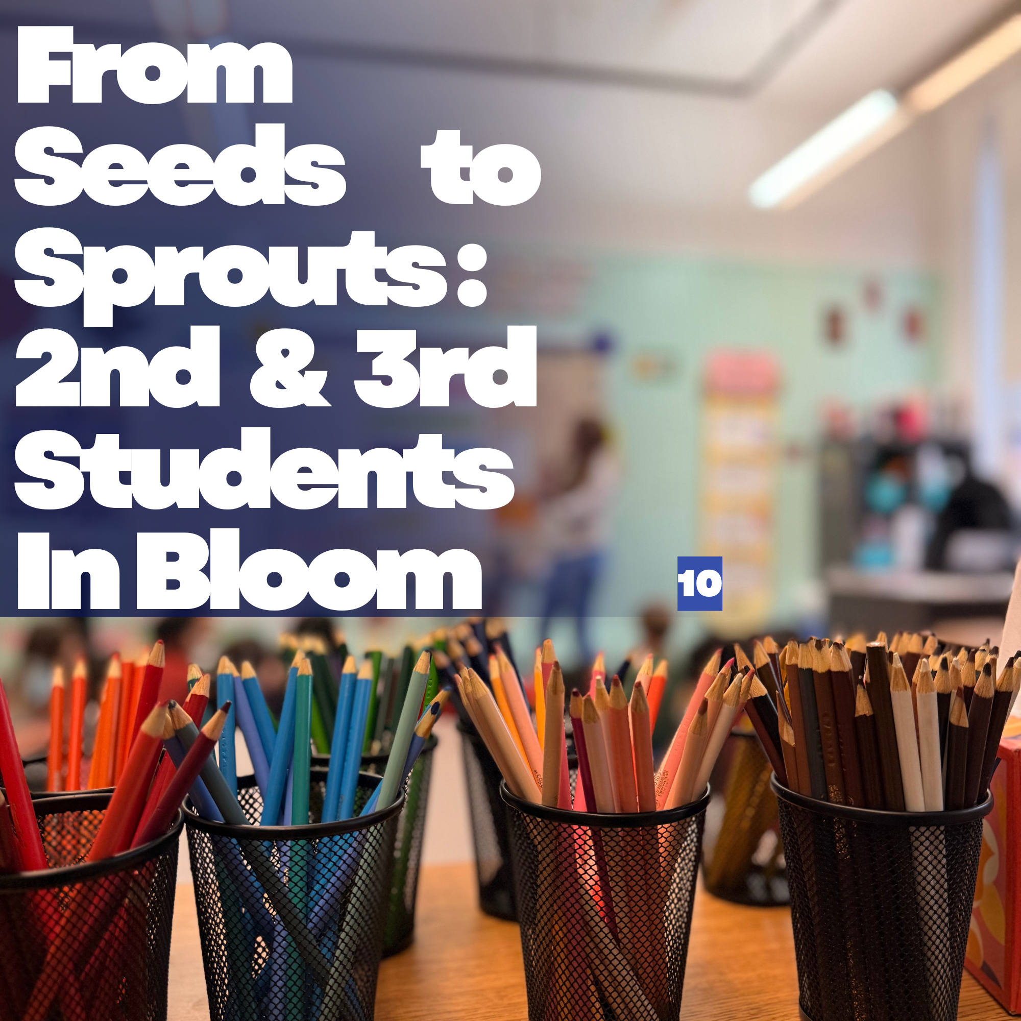 From Seeds to Sprouts : 2nd &amp; 3rd Students In Bloom