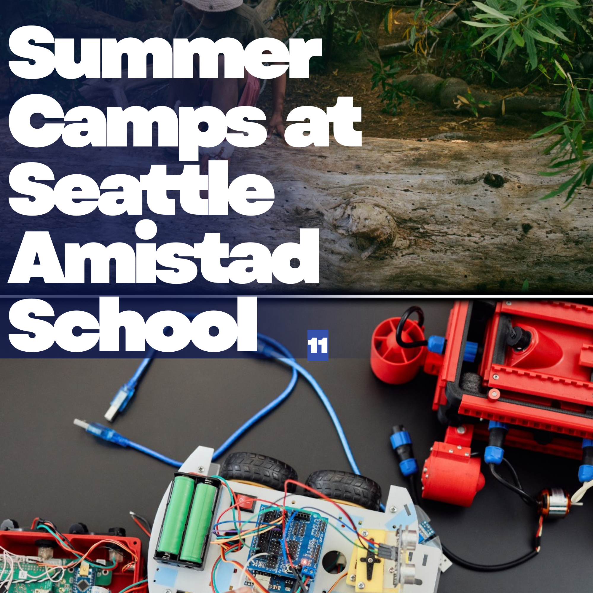 Summer Camps at Seattle Amistad School 