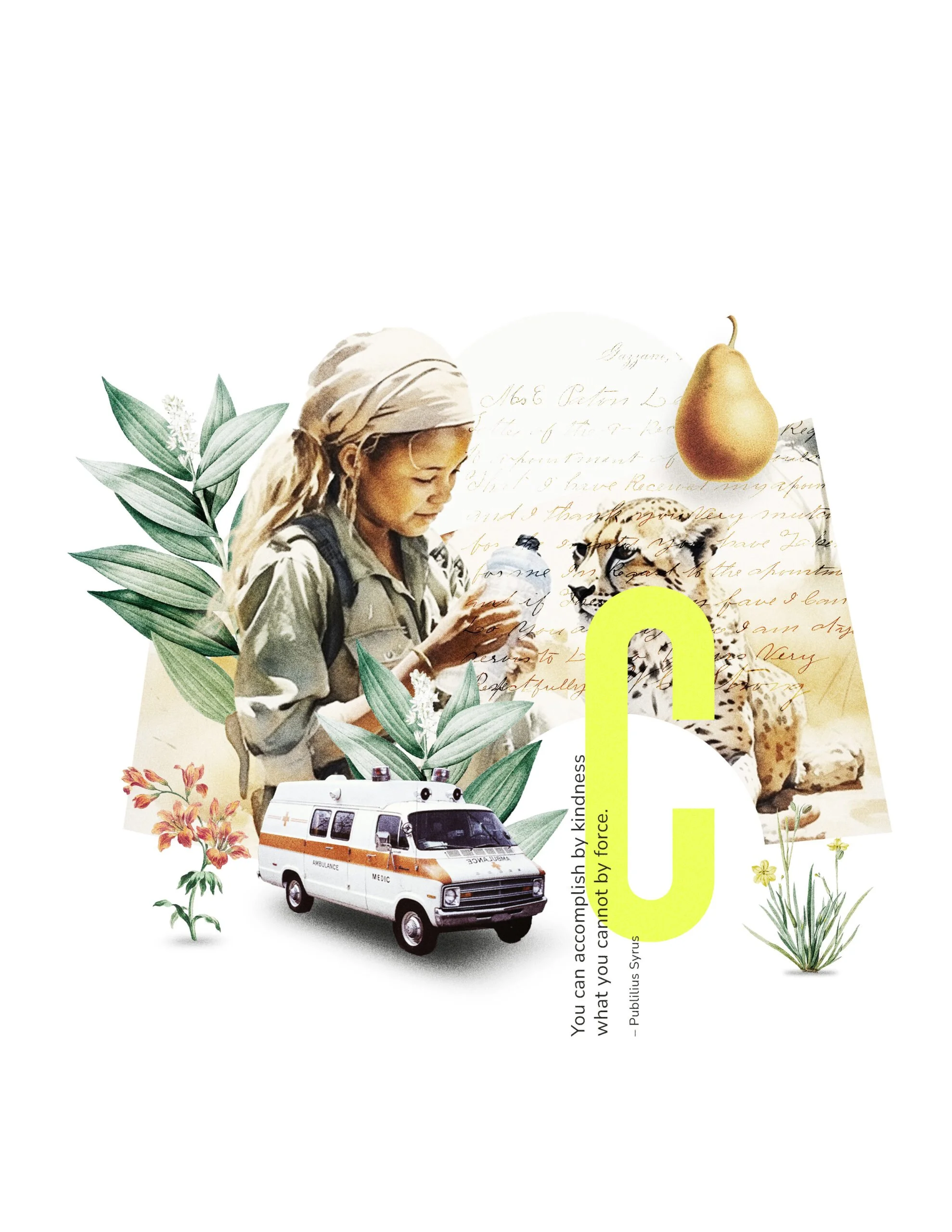 The Caregiver