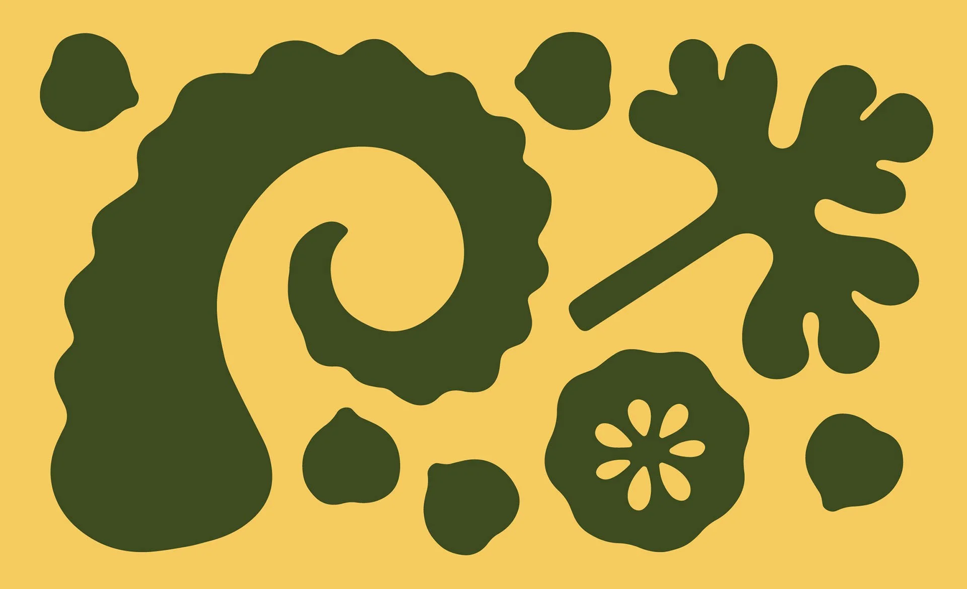 erbert-supermarket-branding-augedesign-10.jpg