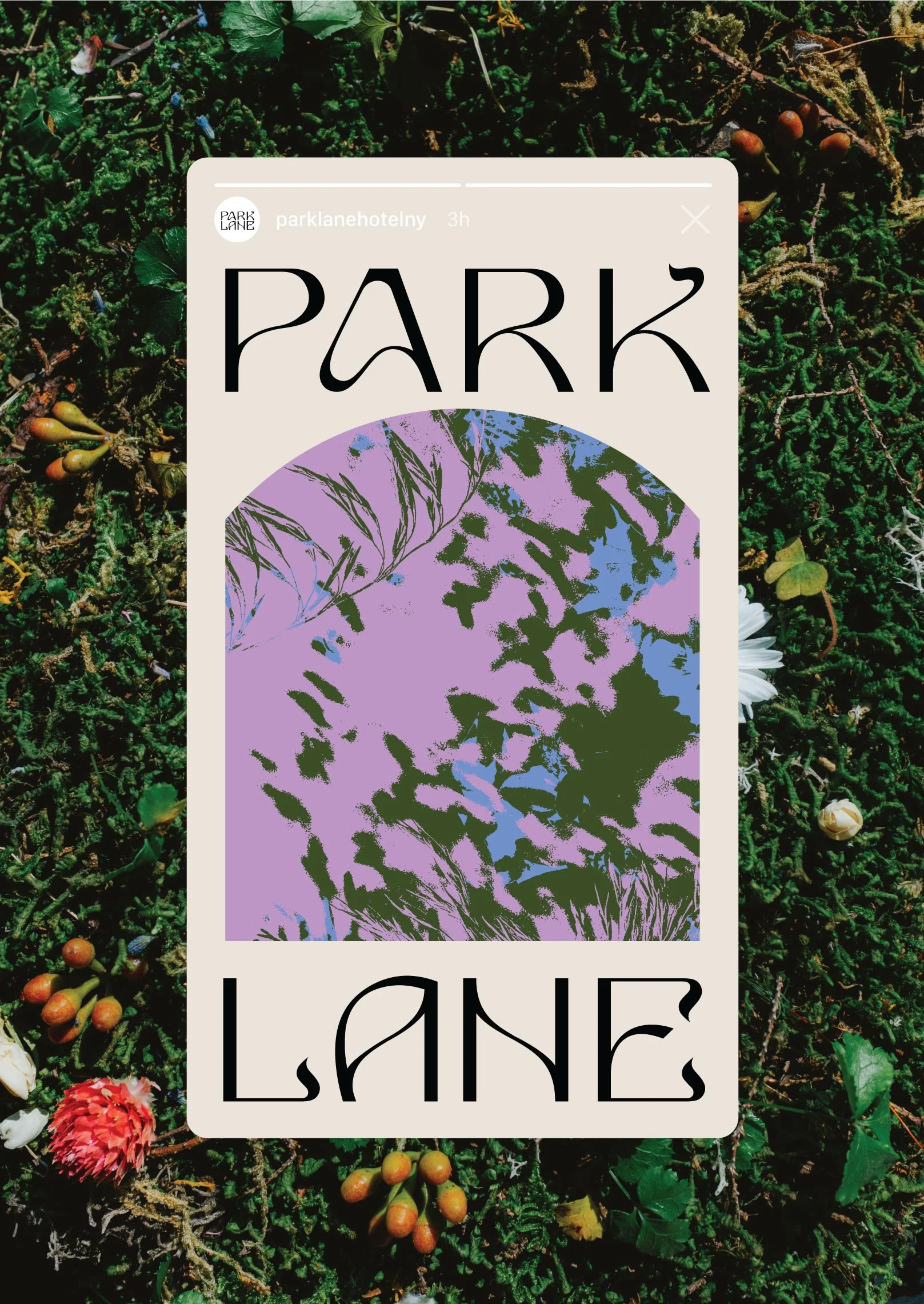 park-lane-hotel-branding-motherdesign-03.jpg