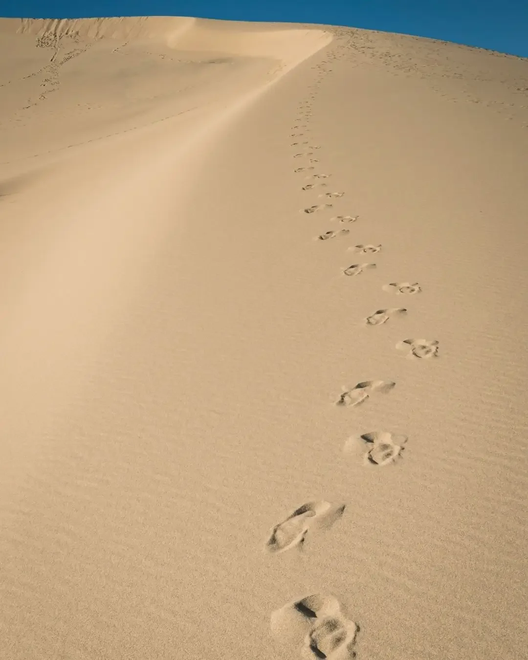Primeros Pasos en Mindfulness